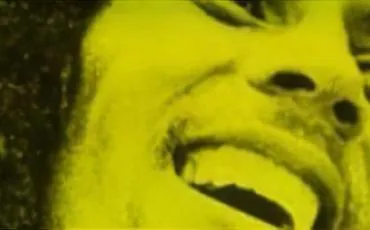 Quiz Bob marley