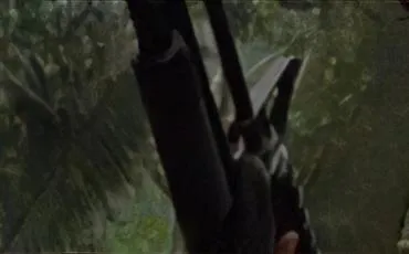 Quiz Predator