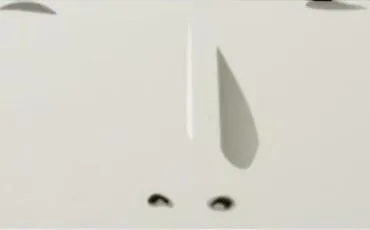 Quiz Claymore