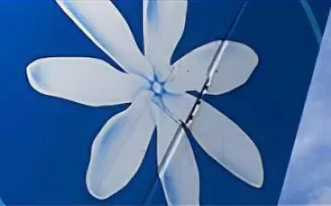 Quiz Tahiti