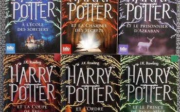 Vignette Harry potter