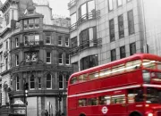 Quiz Vocabulaire anglais