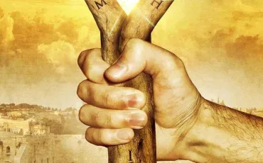 Quiz Bible