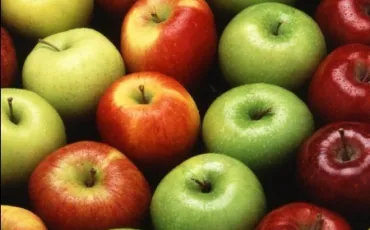 Quiz Fruits