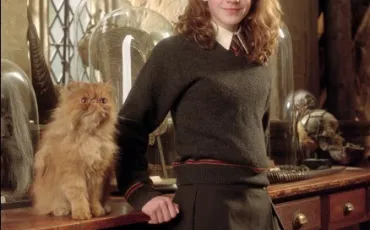 Quiz Harry potter