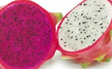 Quiz Fruits