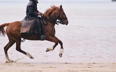 Quiz Galop 3