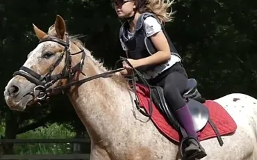 Quiz Galop 3