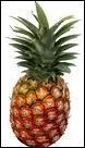 Comment s'appelle ce fruit ?