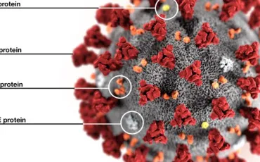 Quiz Coronavirus