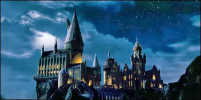 Quelle est l'école de Harry et ses amis ?