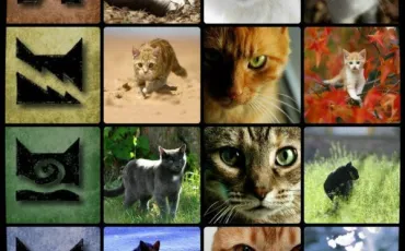Quiz La guerre des clans