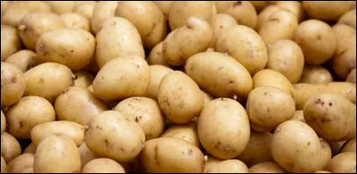 À l'origine d'où provient la pomme de terre ?
