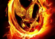 Quiz Hunger Games