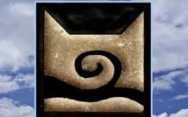 Quiz Erin hunter