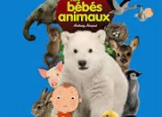 Quiz Les animaux en anglais