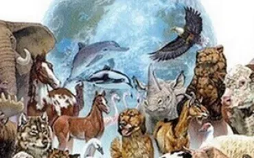 Quiz Animaux