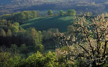 Quiz Regions francaises