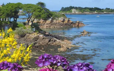 Quiz Ocean