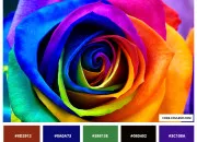 Quiz Quiz rapidit : les couleurs