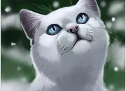 Quiz Les chats LGDC en devinettes