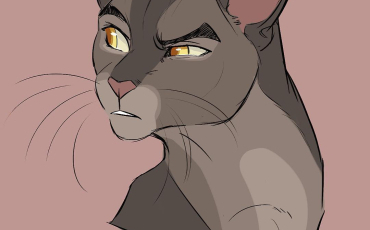 Quiz Erin hunter