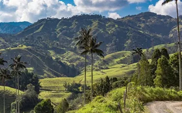 Quiz Venezuela