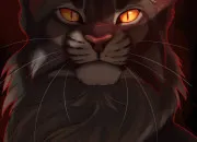 Quiz Devinettes LGDC  Quel chat suis-je ? 