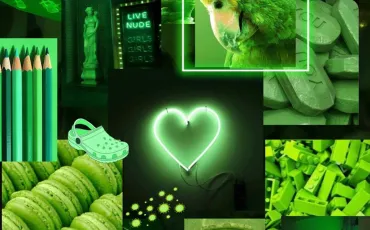 Quiz Couleurs