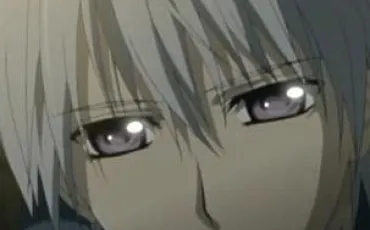 Quiz Vampire knight