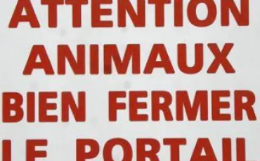 Quiz Animaux bizarres