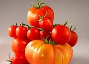 Quiz Les Tomates