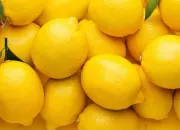 Quiz Le Citron