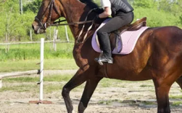 Quiz Galop 1