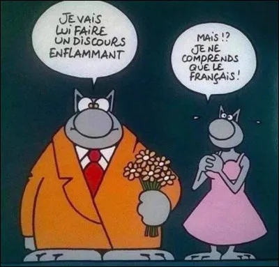Tout d'abord je vous rappelle la description : J'espère qu'elle est bien écrite !
''Je vous saurais reconnaissante, enfin je veut dire je vous serais gré de ne pas m'en vouloire si je fais quelques fautes, ce n'est pas facile de n'en faire aucunes."
 Quel est votre avis ?