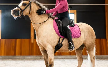 Quiz Chevaux