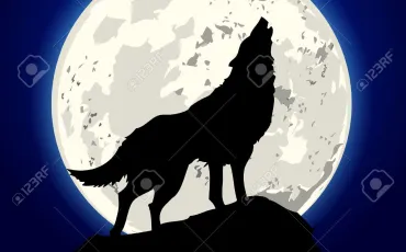 Quiz Animaux