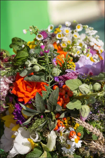 Qui chantait : "C'était le temps des fleurs / on ignorait la peur / les lendemains avaient un goût de miel / ton bras prenait mon bras / ta voix suivait ma voix / on était jeune et l'on croyait au ciel..." ?