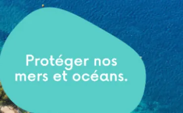 Quiz Decouvertes