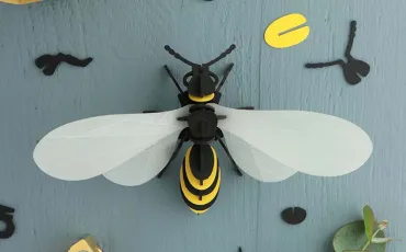 Quiz Abeilles