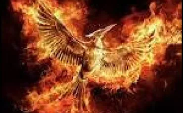 Quiz Hunger games