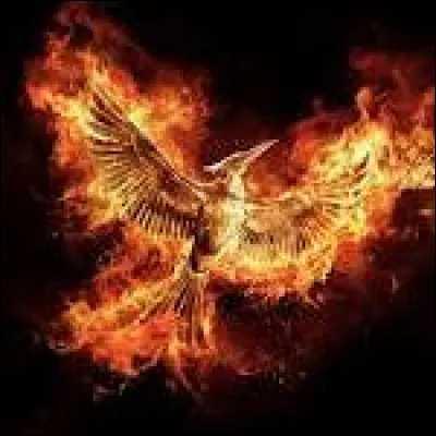 Sur quel ancien continent se situe Panem ?