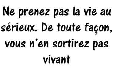 Quiz Vocabulaire