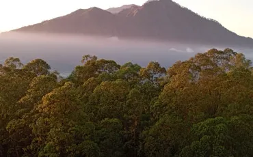 Quiz Indonesie