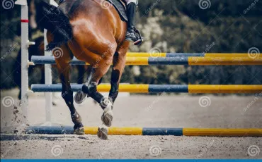 Quiz Galop 3