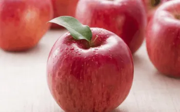 Quiz Fruits