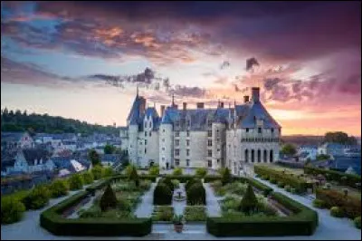 Dans un beau château, vivaient le roi et la ...