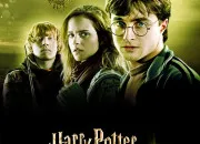 Test Test personnalit ''Harry Potter''