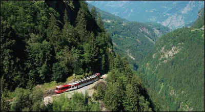 La Suisse est entourée de cinq pays.