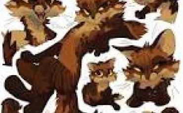 Quiz La guerre des clans